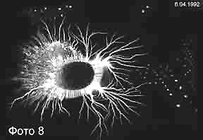 Vedci odfotili astrálne parazity 3 (208x198)