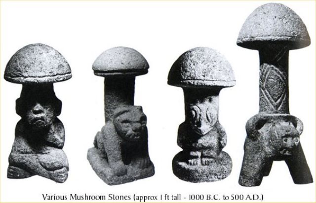 WEB_PSILOCYBIN_Psilocybe_Mushrooms_statues